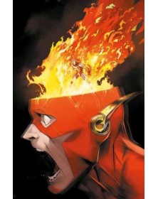 Flash Vol. 5 –Più veloce del pensiero  – DC Maxiserie – Panini Comics – Italiano