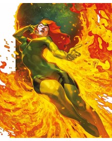 Fenice Vol. 1: Risonanza Orbitale – Panini Comics – Italiano