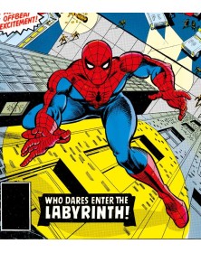 Spectacular Spider-Man Vol. 3 – Marvel Masterworks – Panini Comics – Italiano