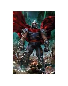 Teenage Mutant Ninja Turtles 5 – VARIANT DI DERRICK CHEW -  Panini Comics – Italiano