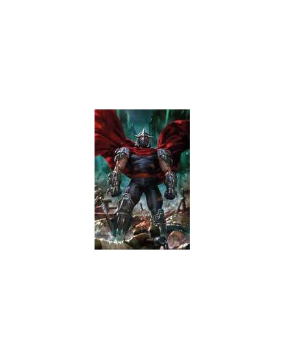 Teenage Mutant Ninja Turtles 5 – VARIANT DI DERRICK CHEW -  Panini Comics – Italiano