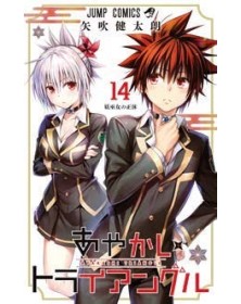 Ayakashi Triangle 14 – Dragon 324 – Edizioni Star Comics – Italiano