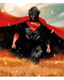 Absolute Superman 1 – Panini Comics – Italiano