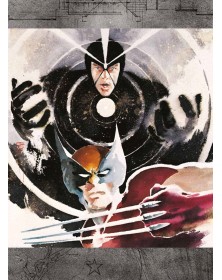 Havok & Wolverine : Fusione – Panini Comics – Italiano