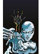 silver surfer nero