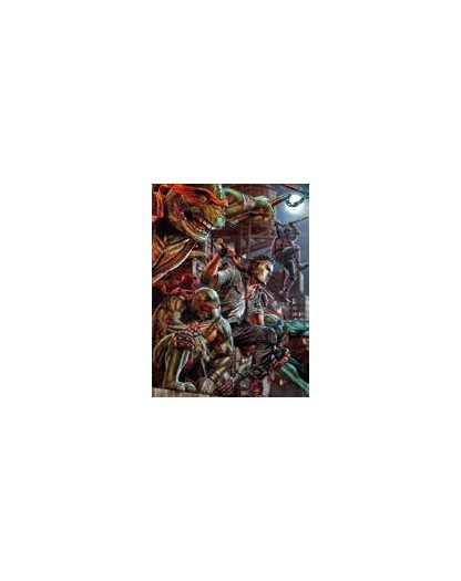 Teenage Mutant Ninja Turtles 6 – VARIANT DI LEE BERMEJO  -  Panini Comics – Italiano