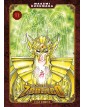 I Cavalieri dello Zodiaco – Saint Seiya – Final Edition 11 – Edizioni Star Comics – Italiano