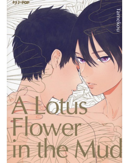 A lotus flower in the mud