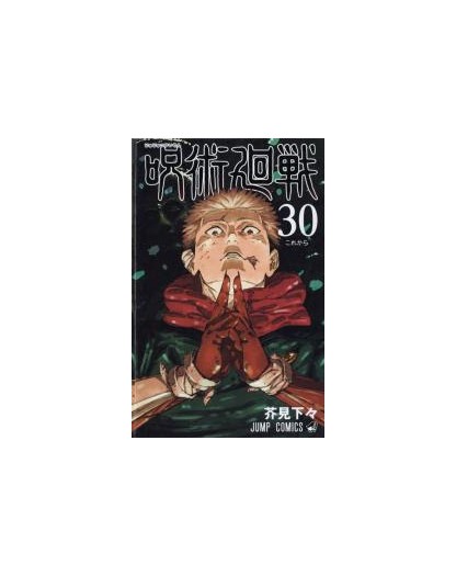 Jujutsu Kaisen – Sorcery Fight 30 - Regular – Panini Comics – Italiano
