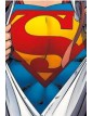Superman: L’uomo D’acciaio - Panini Comics - Italiano
