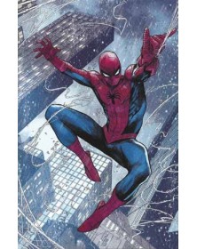 Ultimate Spider-Man Vol. 1 :Sposato con figli – Panini Comics – Italiano