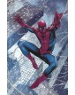 Ultimate Spider-Man Vol. 1 :Sposato con figli – Panini Comics – Italiano