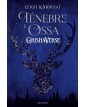 Tenebre e ossa - GrishaVerse
