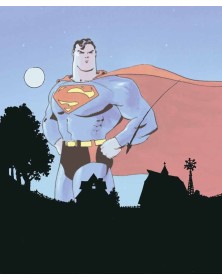 Dc Pocket Collection Superman : Stagioni - Panini Comics - Italiano