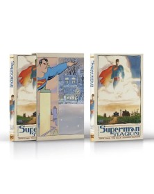 Dc Absolute Superman : Stagioni  – Panini Comics – Italiano