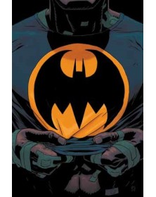 Batman – Schemi Oscuri Vol. 1 : Le ferite della città – Panini Comics – Italiano