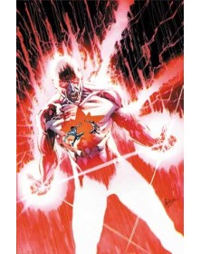 Justice League Unlimited presenta 3 - Panini Comics - Italiano