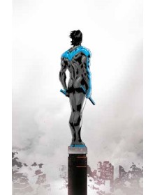 Nightwing Vol. 1 – Lo Spettacolo Continua – DC Comics Special – Panini Comics – Italiano