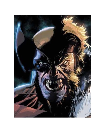 Wolverine Vol. 5 : Sabretooth War – Panini Comics – Italiano