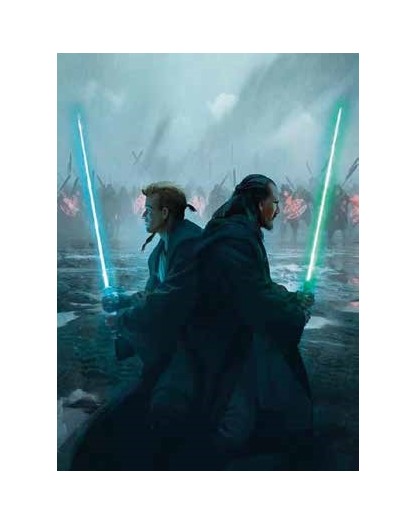 star wars romanzi maestro e apprendista