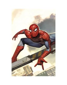 Amazing Spider-Man Vol. 1 – VARIANT DI RYAN BROWN - Panini Comics – Italiano