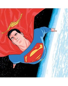 DC Limited Collector’s Edition Superman: Un Eroe per Tutti - Panini Comics – Italiano