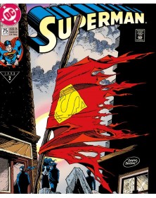 DC Pocket Collection La Morte di Superman - Panini Comics – Italiano