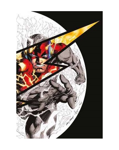 Dc Pocket Collection Flashpoint Panini Comics