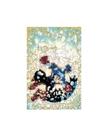 Capitan America vol. 1 – VARIANT DI FRANK MILLER -  Panini Comics – Italiano