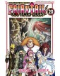 Fairy Tail 100 Years Quest 20