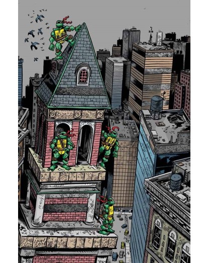 Teenage Mutant Ninja Turtles: Gli Anni Della Mirage – Panini Comics – Italiano