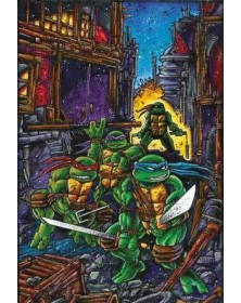 Teenage Mutant Ninja Turtles Classic Collection Vol. 5 – Panini Comics – Italiano