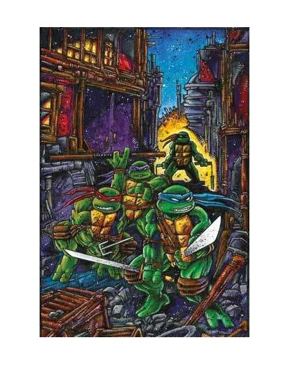 ninja turtles teenage 5