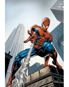 Marvel Masterseries Amazing Spider -Man di J.M Straczynski Vol. 5 : A fior di pelle  – Panini Comics – Italiano