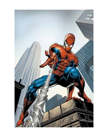 Marvel Masterseries Amazing Spider -Man di J.M Straczynski Vol. 5 : A fior di pelle  – Panini Comics – Italiano