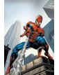 Marvel Masterseries Amazing Spider -Man di J.M Straczynski Vol. 5 : A fior di pelle  – Panini Comics – Italiano