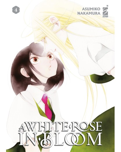 A White Rose In Bloom 4