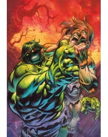 L’Incredibile Hulk Vol. 3 : La Gabbia delle anime – Panini Comics – Italiano
