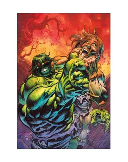 L’Incredibile Hulk Vol. 3 : La Gabbia delle anime – Panini Comics – Italiano