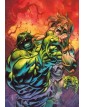 L’Incredibile Hulk Vol. 3 : La Gabbia delle anime – Panini Comics – Italiano