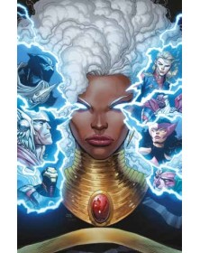 Avengers Vol. 4: Tempesta – Panini Comics – Italiano