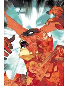 Batman e Robin 23 – DC Select 39 – Panini Comics – Italiano