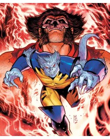 L'ultimo Wolverine 1 ( di 3) – Panini Comics – Italiano