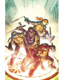 Teenage Mutant Ninja Turtles 13 - Panini Comics - Italiano
