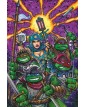 Teenage Mutant Ninja Turtles Classic Collection Vol. 6 - Panini Comics - Italiano