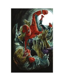 Amazing Spider-Man Vol. 11 – VARIANT AMAZING VISIONS DI LEE BERMEJO – Panini Comics – Italiano