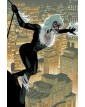 Black Cat vol. 1: Nessuna buona azione resta impunita - Panini Comics - Italiano