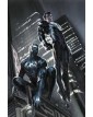 Superman/Spider-Man Variant  di Gabriele Dell' otto - Panini Comics - Italiano