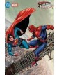 Superman/Spider-Man Variant di Rafa Sandoval - Panini Comics - Italiano
