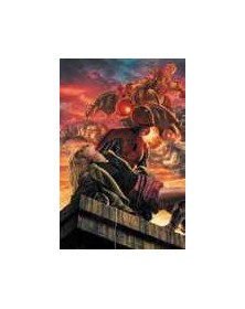 Amazing Spider-Man vol. 14 Amazing Visions Variant Lee Bermejo (8 Di 25) - Panini Comics - Italiano